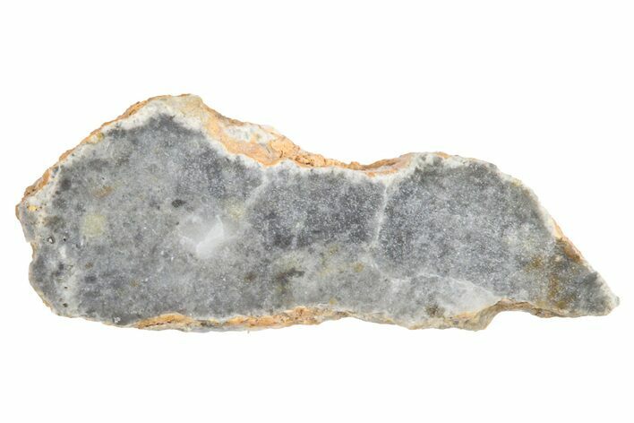 Lunar Meteorite ( g) Slice - Bechar #381625